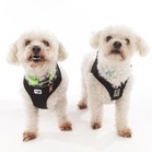 Tucker & Charley