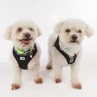 Tucker & Charley