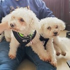 Tucker & Charley