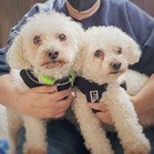 Tucker & Charley