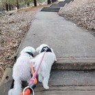 Tucker & Charley