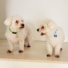Tucker & Charley