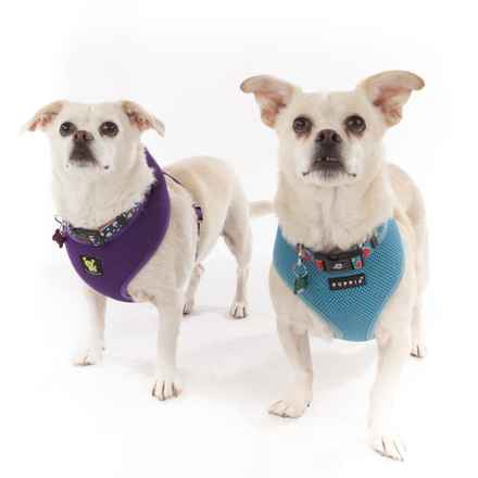 Billie Girl & Cowboy