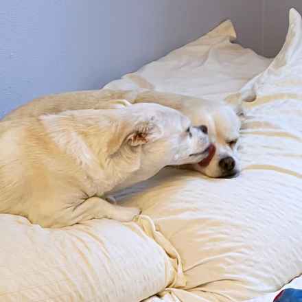 Billie Girl & Cowboy