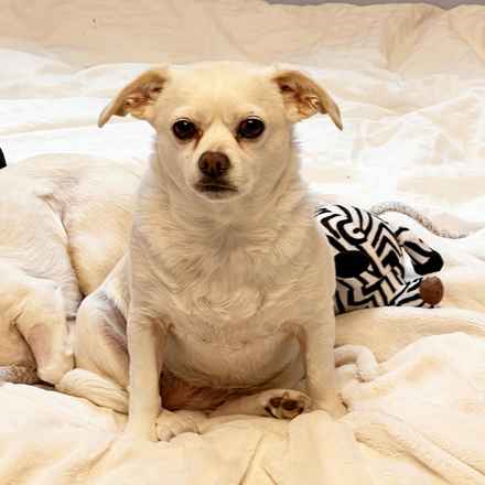 Billie Girl & Cowboy