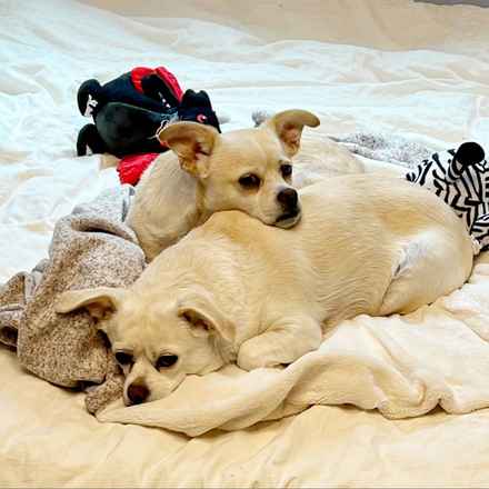 Billie Girl & Cowboy