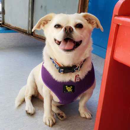 Billie Girl & Cowboy