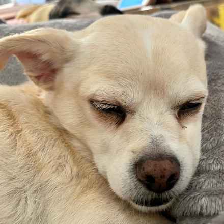 Billie Girl & Cowboy