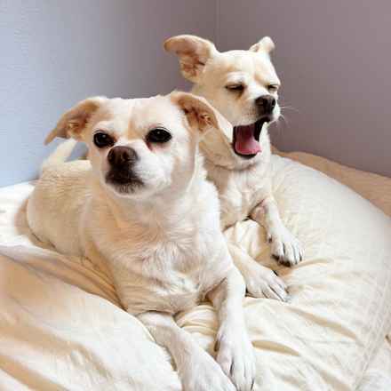 Billie Girl & Cowboy