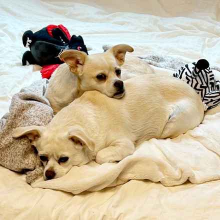 Billie Girl & Cowboy