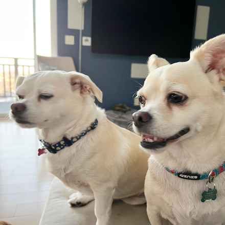 Billie Girl & Cowboy