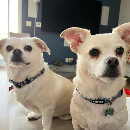 Billie Girl & Cowboy