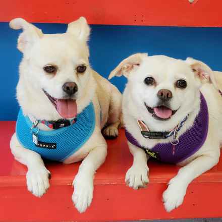 Billie Girl & Cowboy