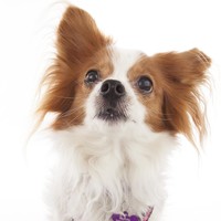 Fannie