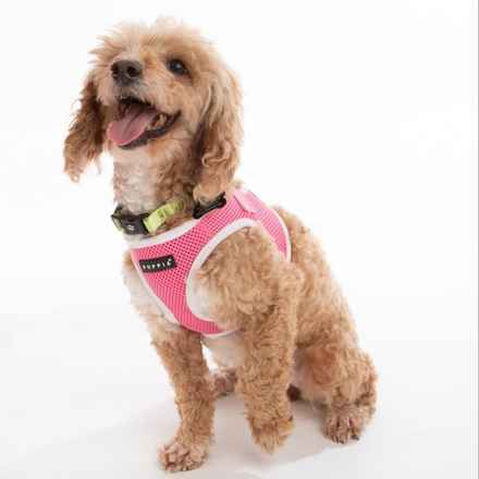 Bella Banana & Leelee