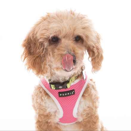 Bella Banana & Leelee