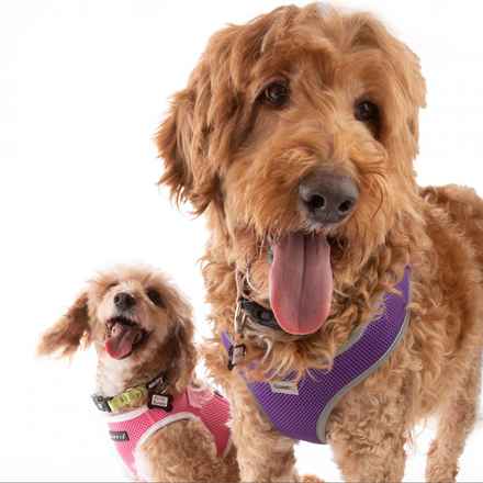 Bella Banana & Leelee