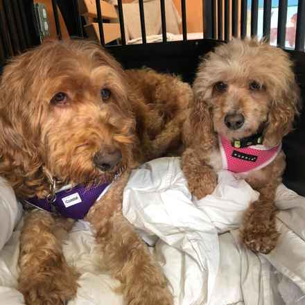 Bella Banana & Leelee