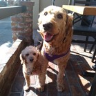 Bella Banana & Leelee