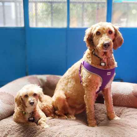 Bella Banana & Leelee