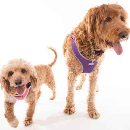 Bella Banana & Leelee