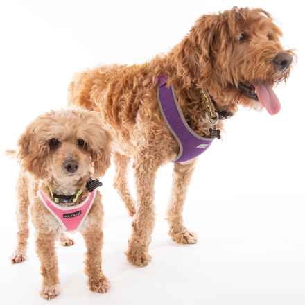 Bella Banana & Leelee