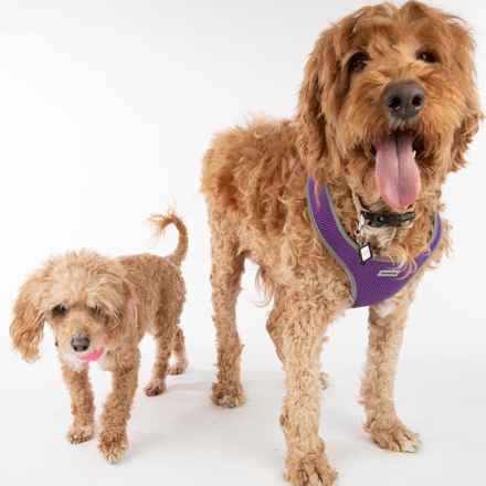 Bella Banana & Leelee