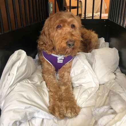 Bella Banana & Leelee