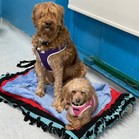 Bella Banana & Leelee