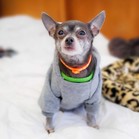 Mimi