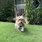 Quimby
