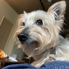 Quimby