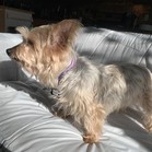 Quimby