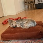 Quimby