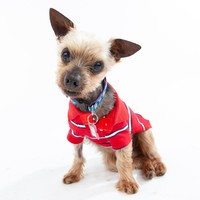 Thom Yorkie