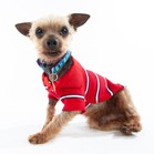 Thom Yorkie
