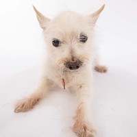 Keiko