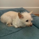 Keiko