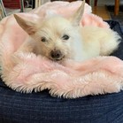 Keiko