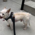 Keiko
