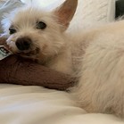 Keiko