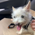 Keiko