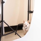 Keiko