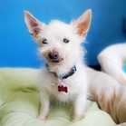 Keiko