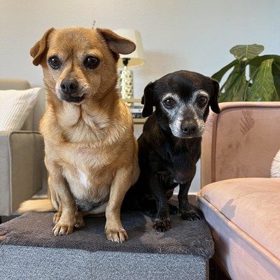 Fletcher & Ida