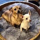 Fletcher & Ida
