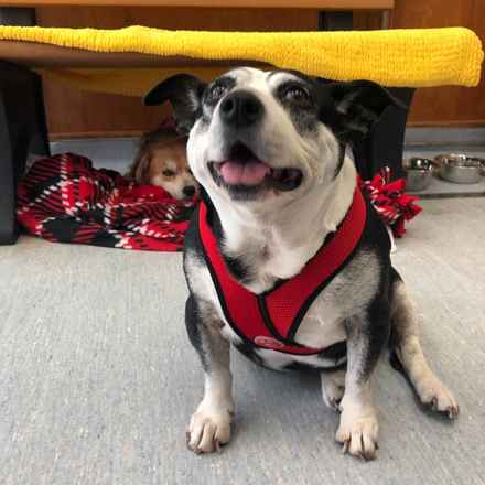 Pancake & Butterscotch