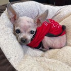Thimble