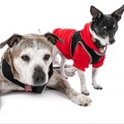 Sweetie & Pebbles