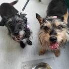 Moxie & Sky